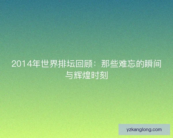 2014年世界排坛回顾：那些难忘的瞬间与辉煌时刻